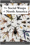 The Social Wasps of North America