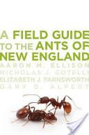 A Field Guide to the Ants of New England