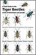 A Field Guide to the Tiger Beetles of the United States and Canada