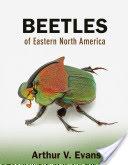 Beetles of Eastern North America