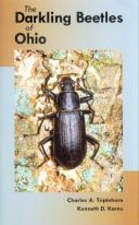 Darkling Beetles of Ohio