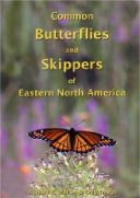 Common Butterflies and Skippers of Eastern North America