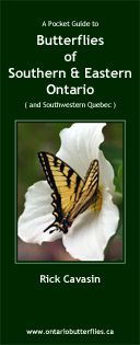A Pocket Guide to the Butterflies of Southern and Eastern Ontario