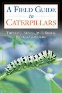 Caterpillars in the Field and Garden: A Field Guide to the Butterfly Caterpillars of North America