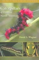 Caterpillars of Eastern North America