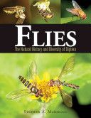 Flies