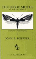Sedge Moths of North America