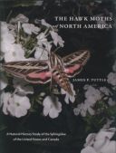 The Hawk Moths of North America