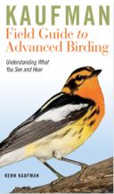 Advanced Birding