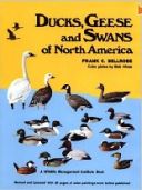 Ducks, Geese and Swans of North America