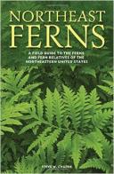 Northeast Ferns