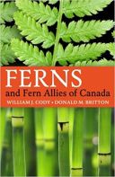 Fern and Fern Allies of Canada