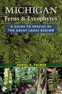 Michigan Ferns & Lycophytes