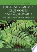 Ferns, Spikemosses, Clubmosses and Quillworts of Eastern North America