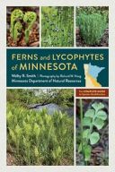 Ferns and Lycophytes of Minnesota