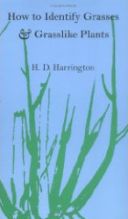 How to Identify Grasses and Grass-like Plants
