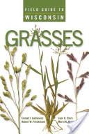 Field Guide to Wisconsin Grasses