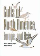 Gulls of Europe Asia and North America