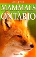 Mammals of Ontario