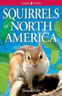 Squirrels of North America