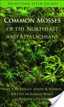 Common Mosses of the Northeast and Appalachians