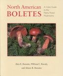 North American Boletes