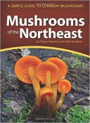 Mushrooms of the Northeast: A Simple Guide to Common Mushrooms