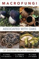 Macrofungi Associated with Oaks of Eastern North America