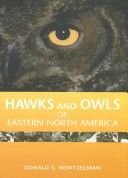 Hawks and Owls of Eastern North America