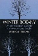 Winter Botany