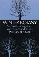 Winter Botany